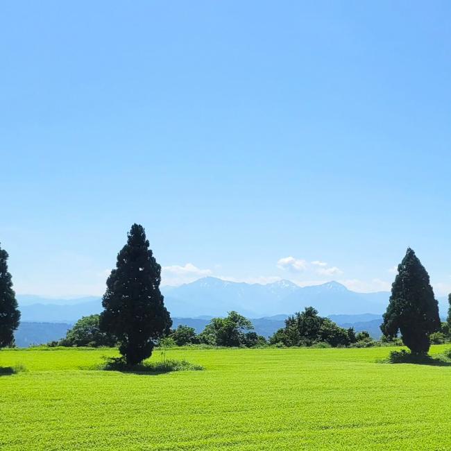 令和7年8月号のおぢフォトの画像